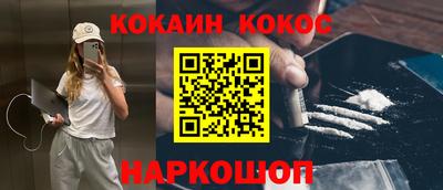 стаф Дубна