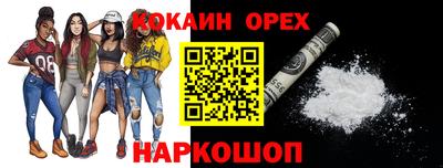 стаф Дубна