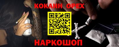 стаф Дубна