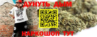 стаф Дубна