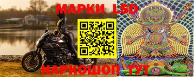 стаф Дубна