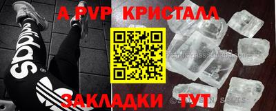 стаф Дубна