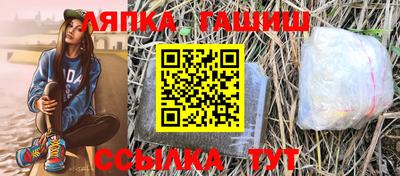 стаф Дубна