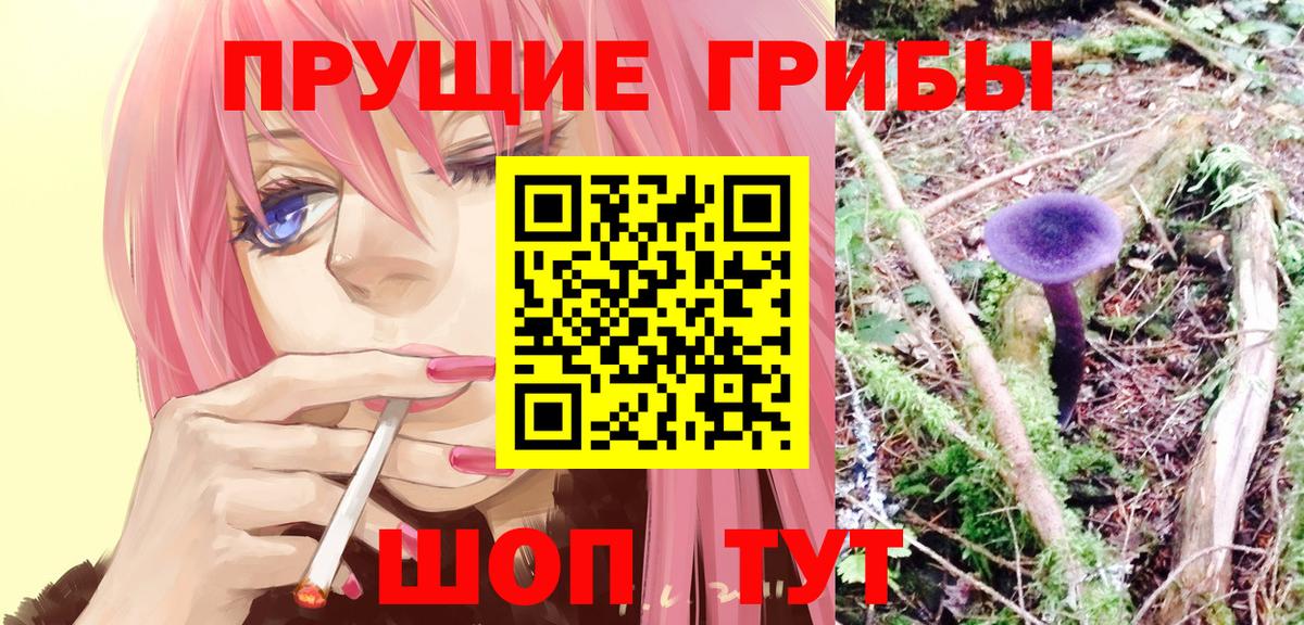 НБОМе Нефтекумск