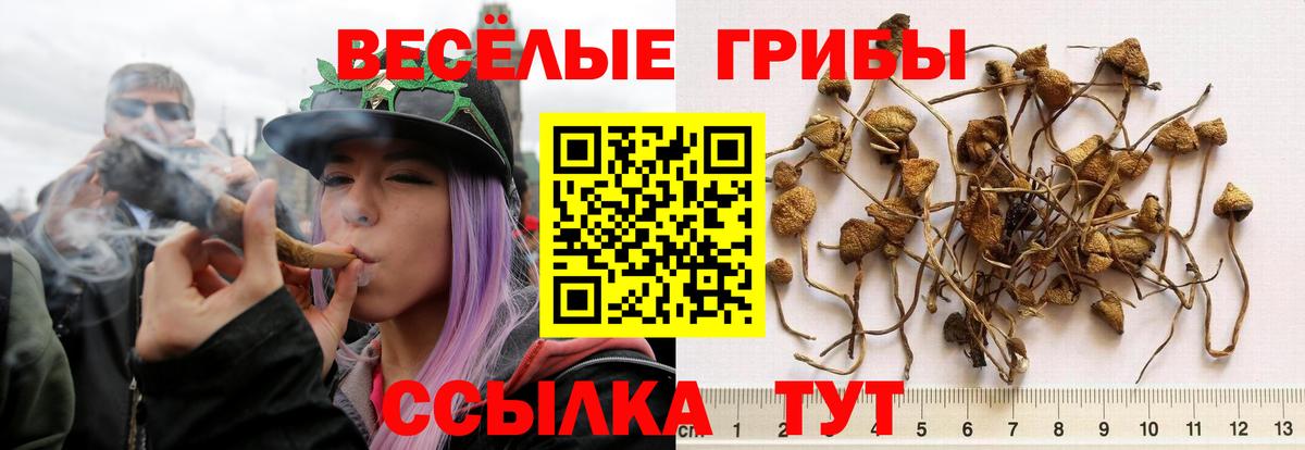 Псилоцибиновые грибы прущие грибы Нефтекумск