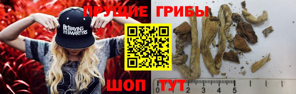 Галлюциногенные грибы GOLDEN TEACHER  Вход с VPN  Нефтекумск 