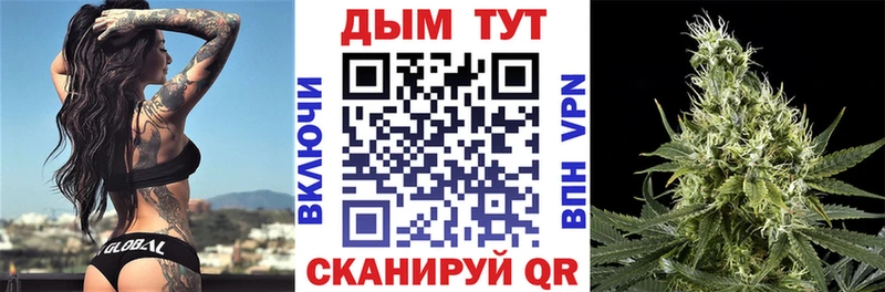 Конопля план  Нефтекумск 